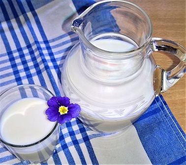 В Оренбуржье субсидируют молоко, реализованное в регионе