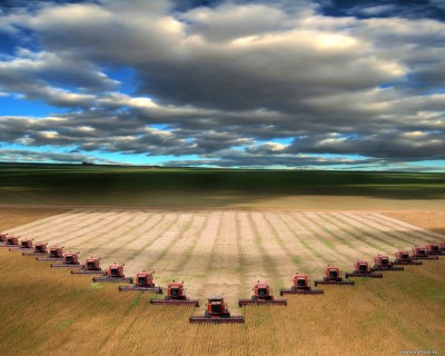 Зерновой потенциал нового урожая азиатской части России и Казахстана может достичь 42,5 млн. тонн