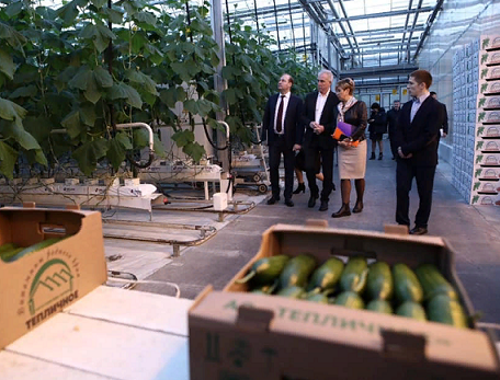 В Ульяновской области открылся овощной логоцентр