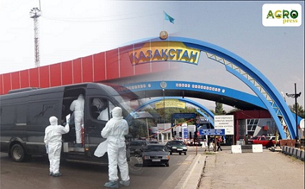 Казахстан усилил ветконтроль вдоль границы с РФ и Киргизией
