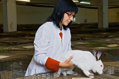 Тюменское хозяйство увеличило поголовье кроликов