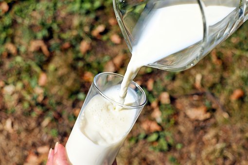 Красноярский край наращивает производство молока