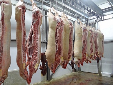 Курганская область увеличила производство свинины