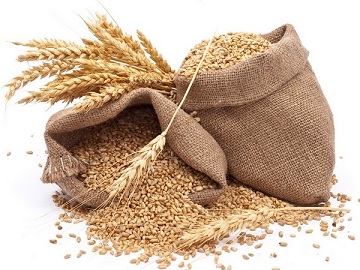 Казахстан ограничивает экспорт зерна и муки