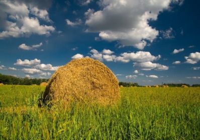 Заготовка кормов в Челябинской области продолжается