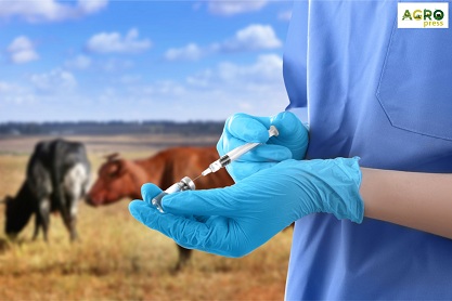 В Казахстане 150 млн прививок  сделают животным в 2020 году