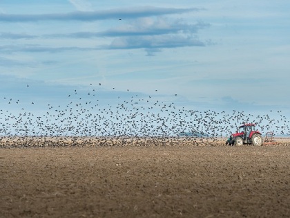 В Ульяновской области план по севу яровых зерновых выполнен