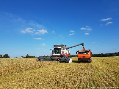 Саратовские аграрии ведут уборку озимой пшеницы