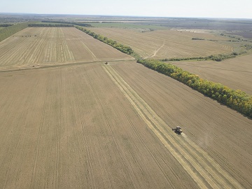 В Пензенской области средняя урожайность зерновых - 42 ц/га
