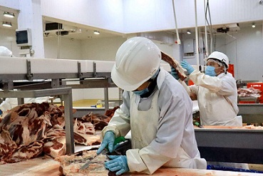 Минсельхоз РК инспектирует казахстанские мясокомбинаты