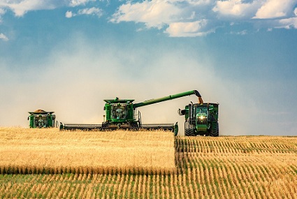 В Казахстане намолочено более 7 млн тонн зерновых и зернобобовых