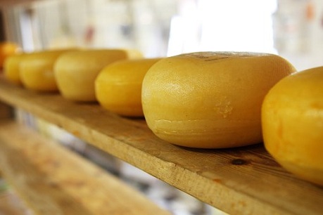 Экспорт сыров и творога увеличился на 12%