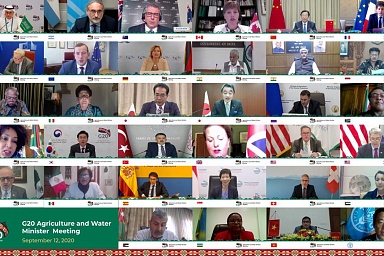 Министры сельского хозяйства стран G20 провели видеоконференцию