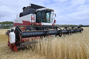 В Омской области намолочено 2,1 млн тонн зерна