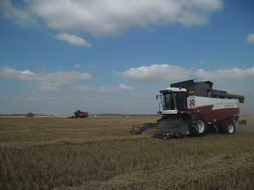 В Казахстане убрано более 83% площадей зерновых и зернобобовых
