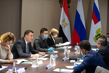Товарооборот продукции АПК между Россией и Египтом растёт