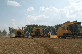 Урожай зерна в Башкортостане превысил 3,7 млн тонн