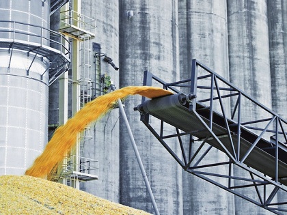В Саратовской области строят завод глубокой переработки пшеницы