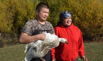В Челябинской области кооператив начал делать гусиную тушенку