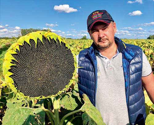 Аграрии России и Казахстана выбирают крупноплодный кондитерский сорт Алтай