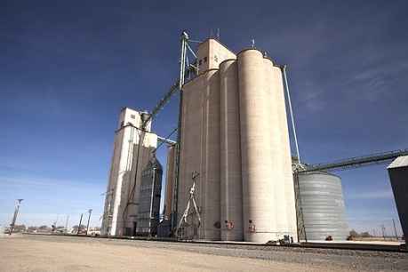 Экспорт зерна и муки из Казахстана показывает высокую активность