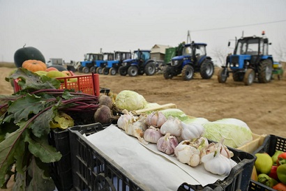 В Туркестанской области на 5,2 тыс. га собрано три урожая