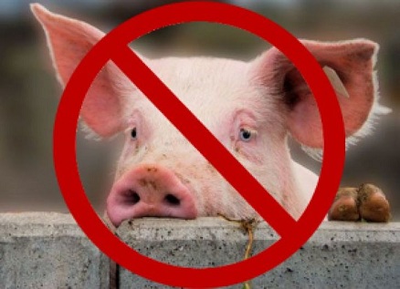 В Оренбуржье выявлена африканская чума свиней