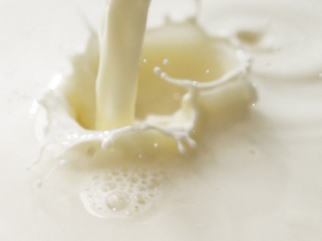 В Челябинской области растет производство молока