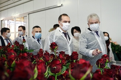 В Мордовии компания занимает 15% рынка свежесрезанных роз в России