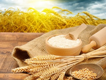 Казахстан увеличил производство пшеничного глютена