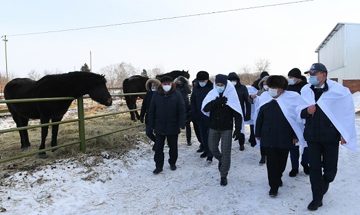 Президент Татарстана посетил коневодческую ферму