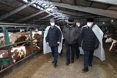Врио главы Мордовии посетил молочно-товарную ферму