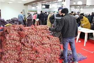 Жители  Чувашии активно закупают семенной картофель