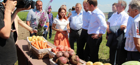 В Алтайском крае 86% картофеля производят ЛПХ