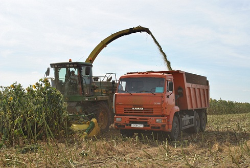 Алтайские аграрии заготовили более 740 тыс. т кормов