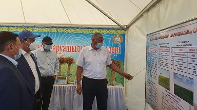 В Кызылординской области решают проблемы пострадавших от засухи