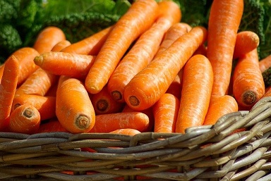 В Свердловской области подешевела морковь