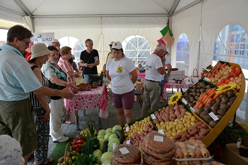 На Южном Урале рассчитывают на хороший урожай овощей