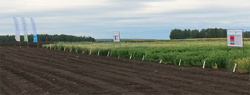 «Август» принес успех аграриям Южного Урала