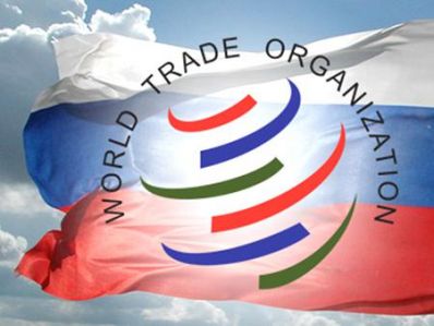 Проблемы функционирования и развития российского аграрного сектора в условиях ВТО