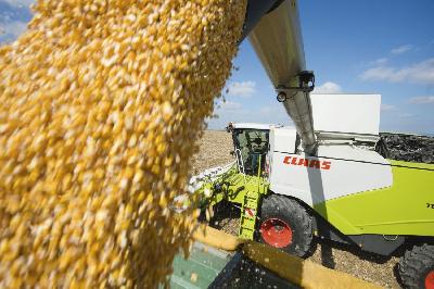 Саратовские аграрии собрали более 3 млн т зерна