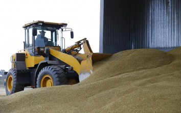 В Кузбассе собрали один миллион тонн зерна