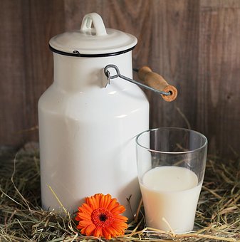 Объем реализации молока в сельхозорганизациях вырос на 1,8%
