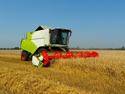 Томские аграрии намолотили более 400 тысяч тонн зерна