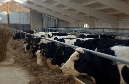В Челябинской области открывается новая молочная ферма