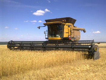 Сбор зерновых в России превысил 125 млн тонн