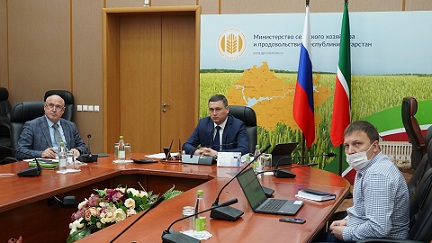 Татарстан посевные площади сохранит на уровне текущего года