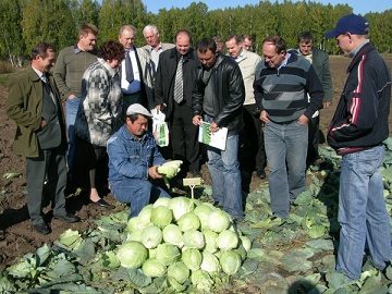 В Свердловской области активно строят овощехранилища