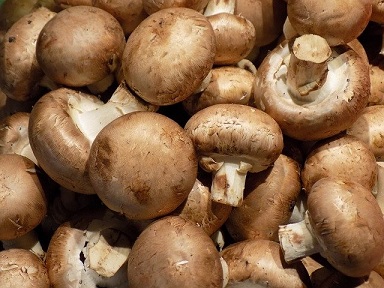 В России растет производство культивируемых грибов