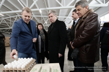 В Ульяновской области построят элеваторный комплекс